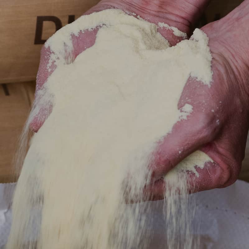 Bellata Gold Duralina durum semolina flour