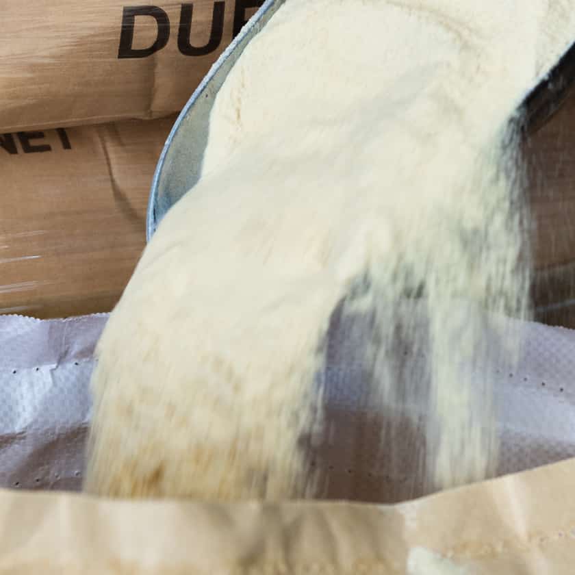 A scoop of Duralina fine durum semolina flour