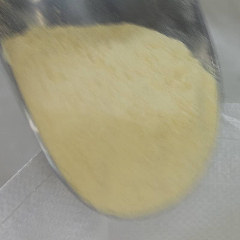 Bellata Gold Duralina fine durum semolina flour