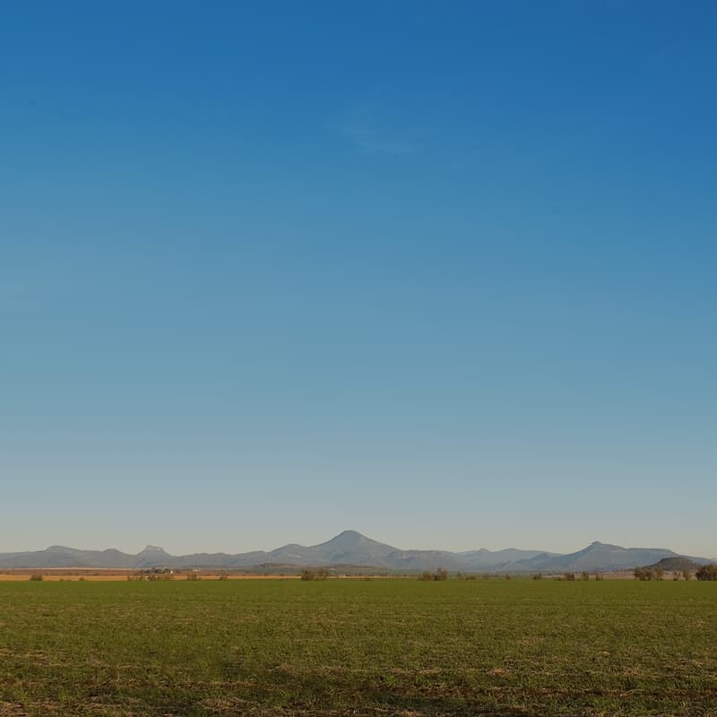 Bellata Gold farmland in the golden triangle