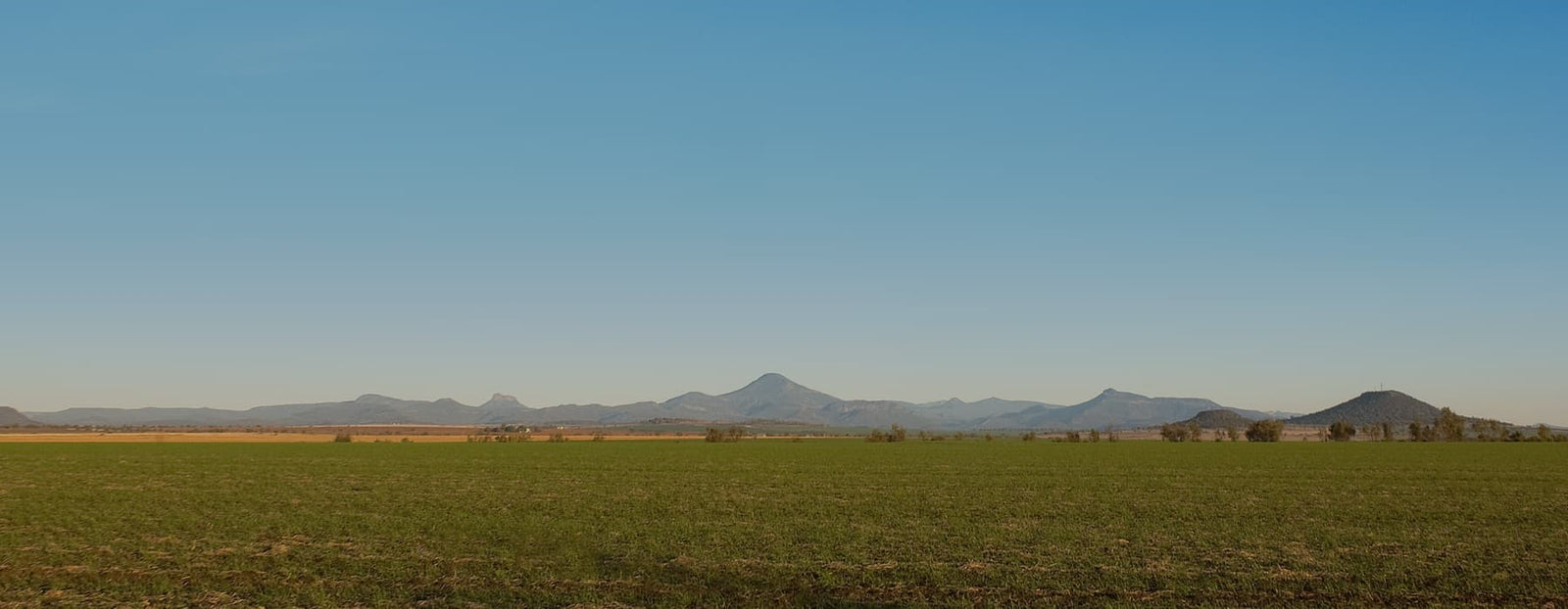 Bellata Gold farmland in the golden triangle