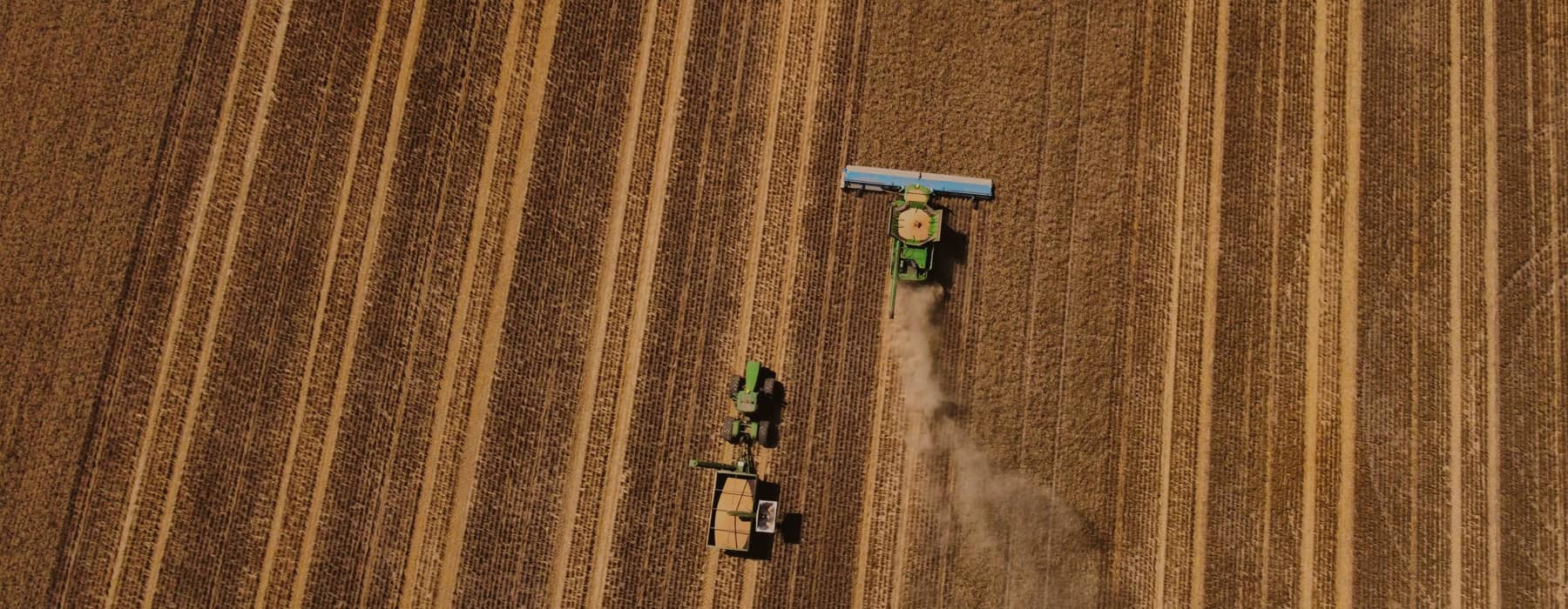 Bellata Gold wheat harvester aerial view from above